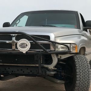 Meet your Posher, Bailey